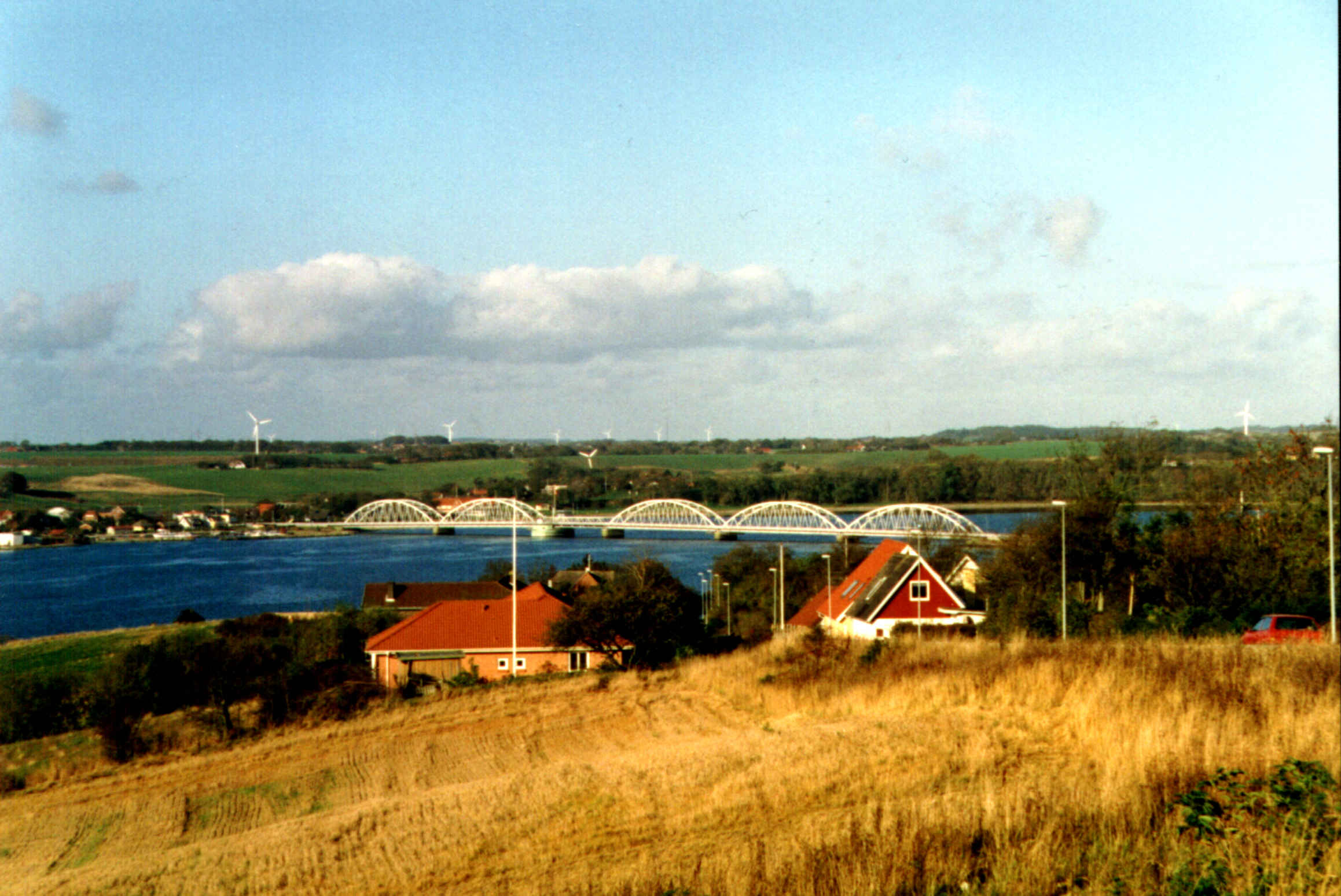 Vildsund