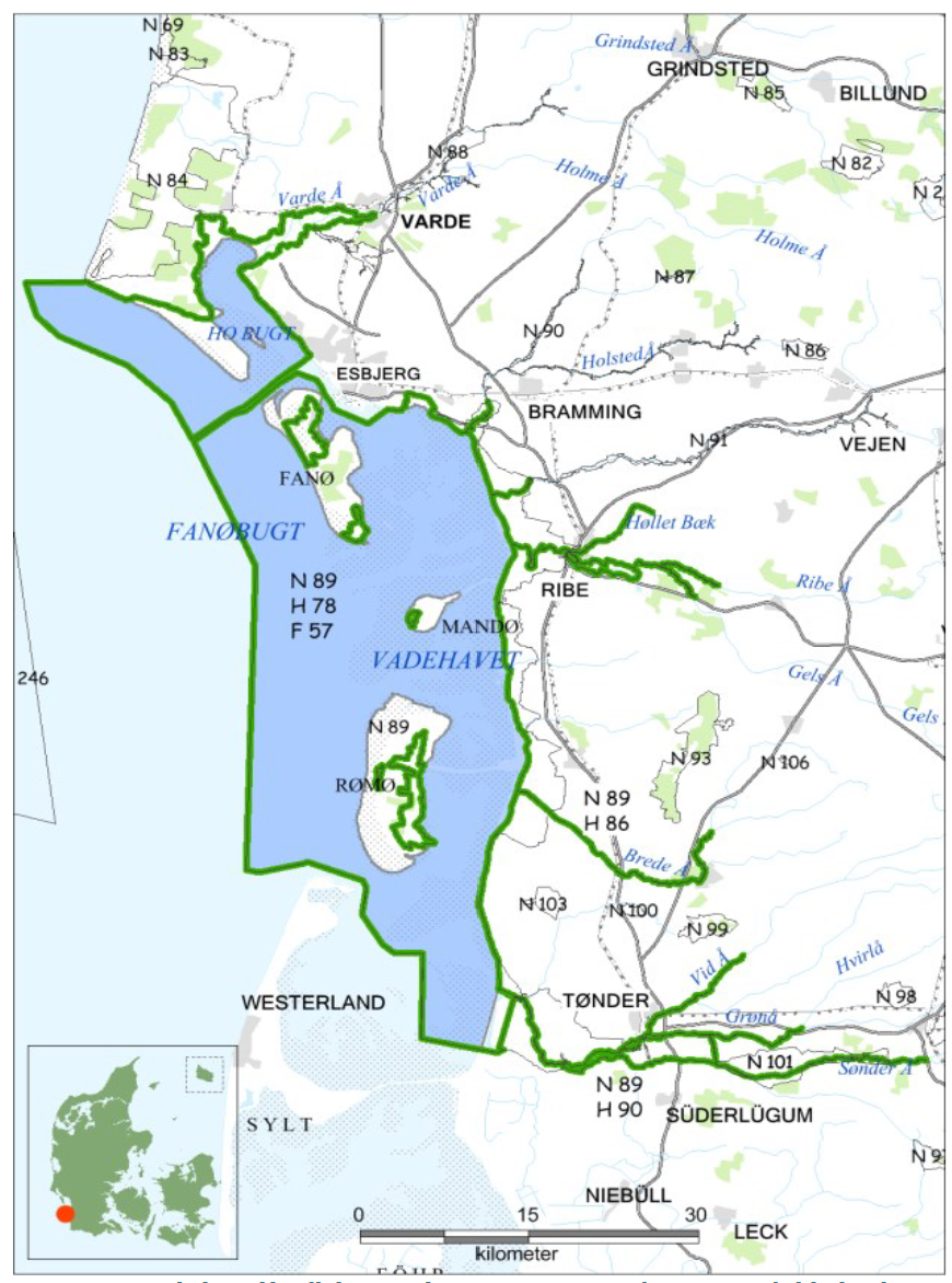 Das Habitat Wattenmeer