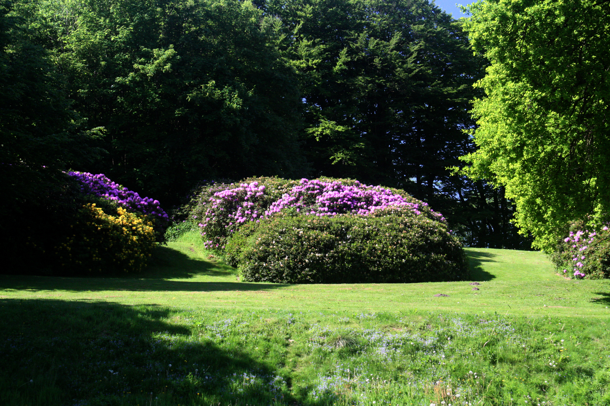 Der Schloßpark